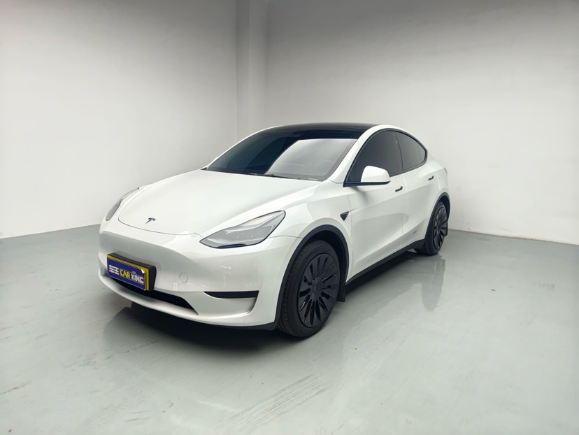 Tesla Model Y 2024 Tesla Model Y 2024 car image