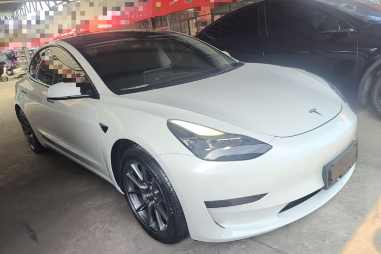 Tesla Model 3 2021 car image #4