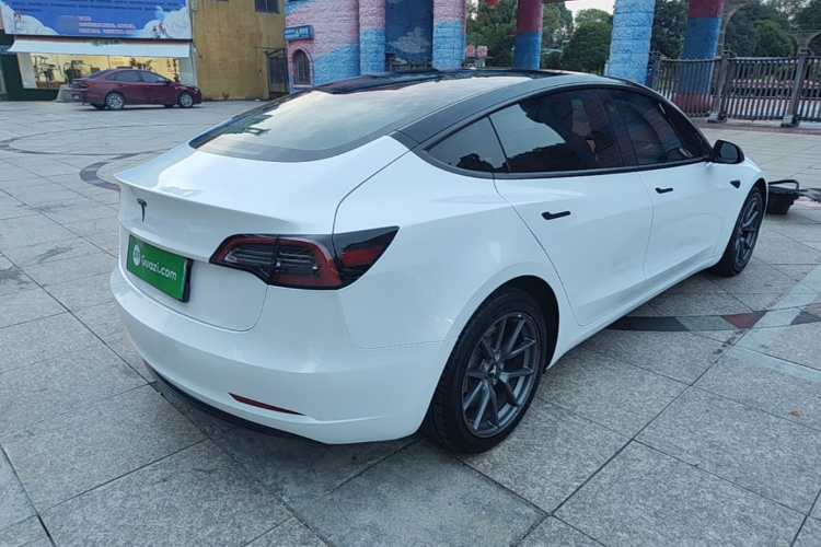 Tesla Model 3 2021 car image #7