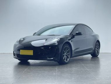 Tesla Model 3 2021 Tesla Model 3 2021 immagine di auto