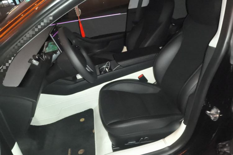 Tesla Model 3 2023 car image #19