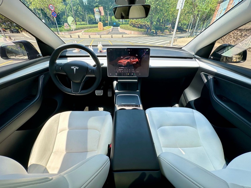 Tesla Model Y 2021 car image #6