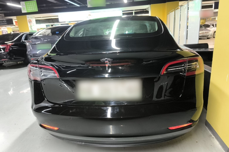 Tesla Model 3 2021 #6 Tesla Model 3 2021 car image #6