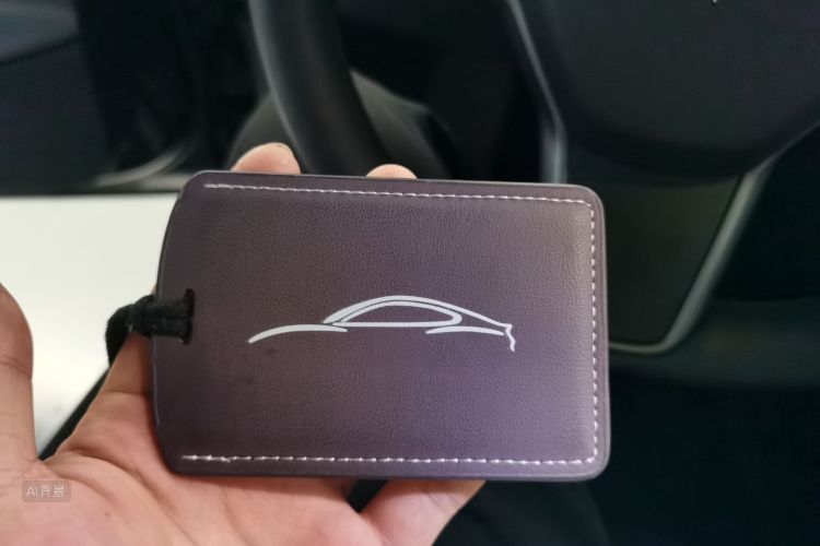 Tesla Model 3 2021 car image #10