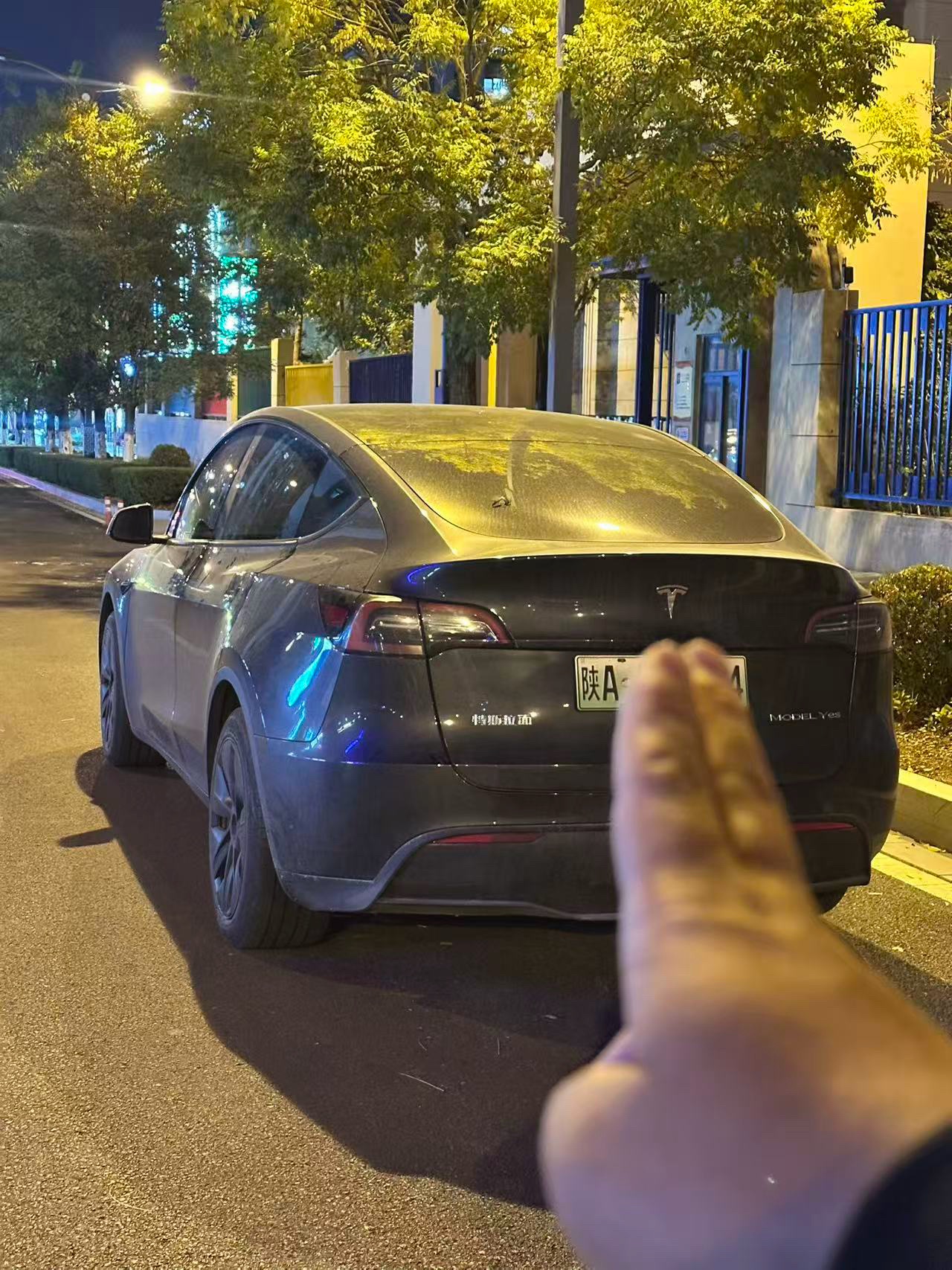 Tesla Model Y 2024 #3 Tesla Model Y 2024 car image #3