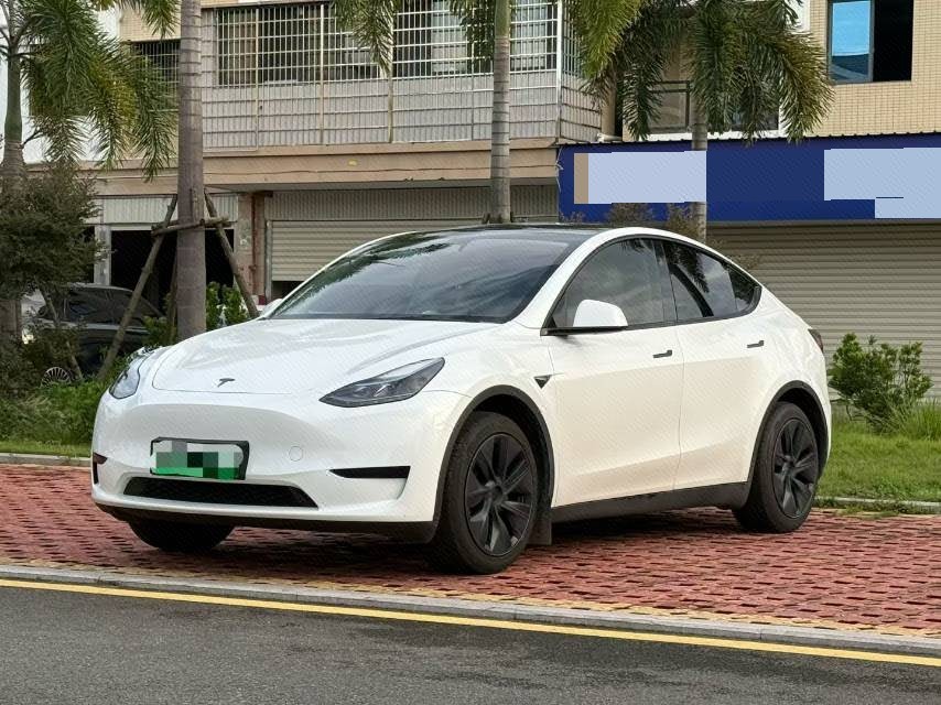 Tesla Model Y 2024 car image 