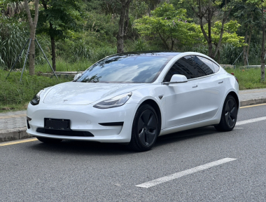 Tesla Model 3 2020 car image 