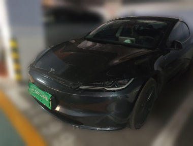 Tesla Model 3 2025 car image 