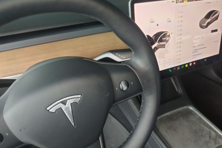 Tesla Model 3 2022 #18 Tesla Model 3 2022 car image #18