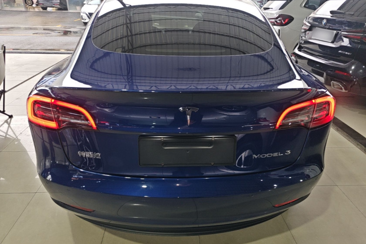 Tesla Model 3 2020 #6 Tesla Model 3 2020 car image #6
