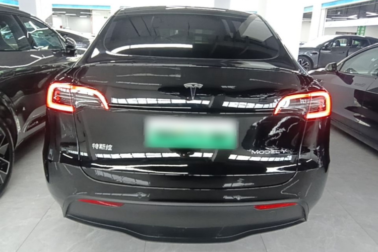 Tesla Model Y 2023 #6 Tesla Model Y 2023 car image #6