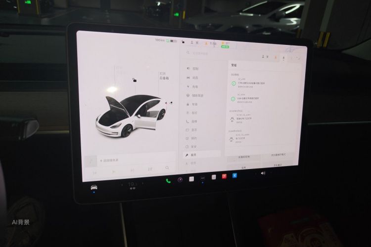Tesla Model 3 2020 car image #14