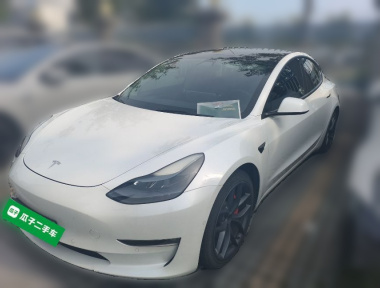 Tesla Model 3 2021 Tesla Model 3 2021 car image