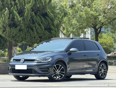 Volkswagen Golf 2019 car image 
