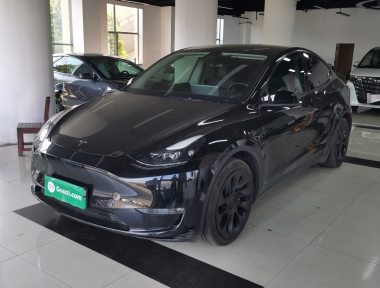 Tesla Model Y 2021 Tesla Model Y 2021 car image