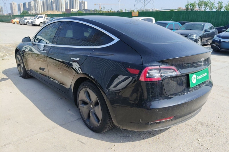 Tesla Model 3 2020 car image #5