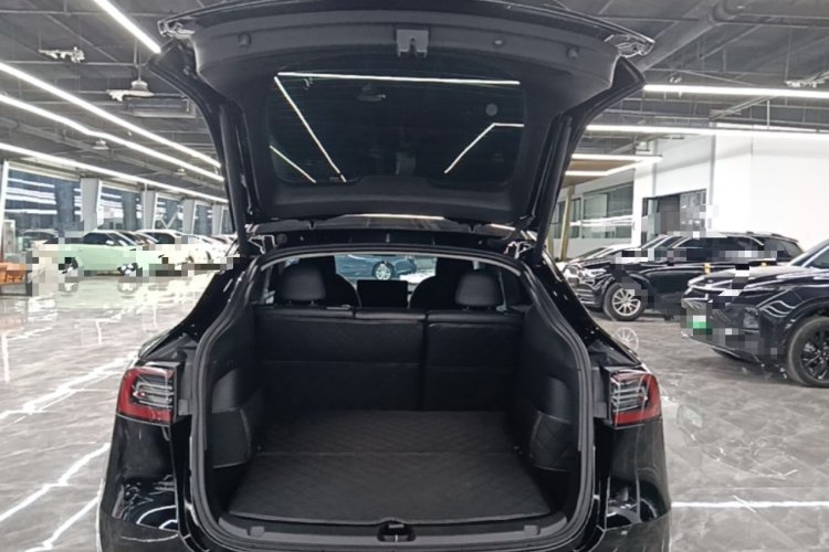 Tesla Model Y 2023 #21 Tesla Model Y 2023 car image #21