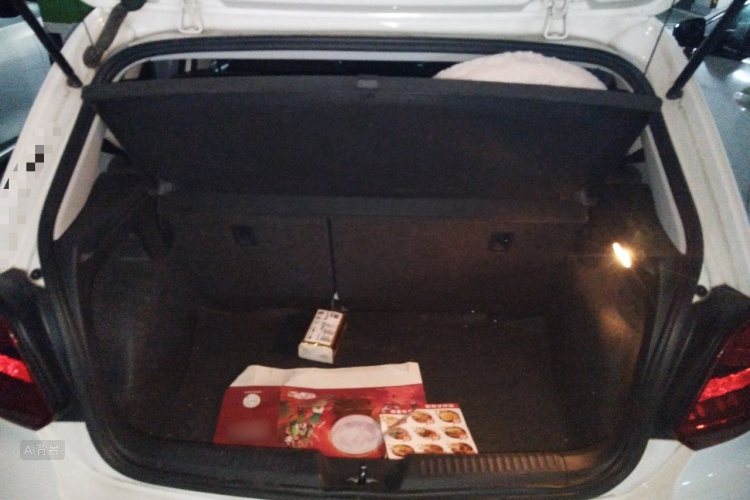 Volkswagen Polo 2016 car image #21
