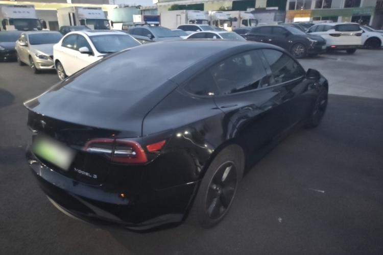 Tesla Model 3 2021 #7 Tesla Model 3 2021 car image #7
