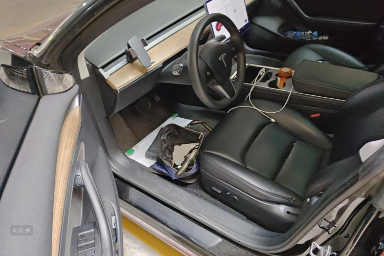 Tesla Model 3 2021 car image #18