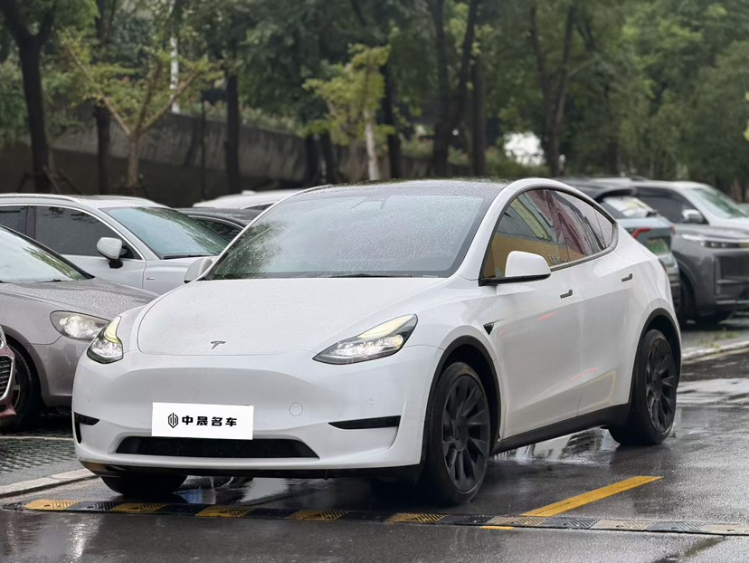 Tesla Model Y 2022 car image 