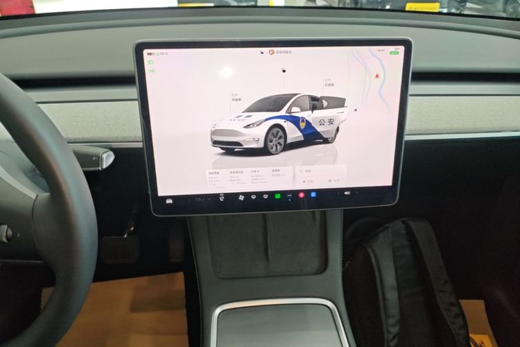 Tesla Model Y 2024 car image #13