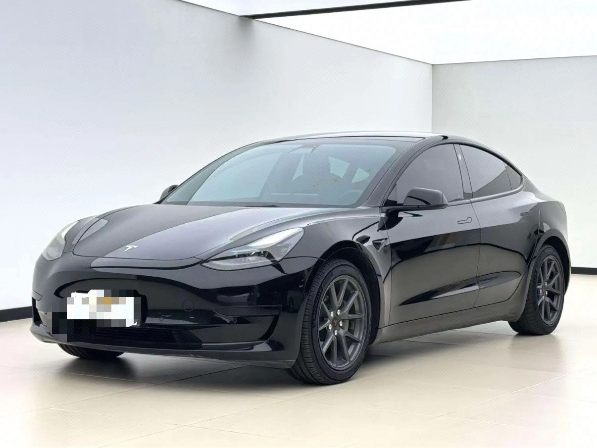 Tesla Model 3 2021 Tesla Model 3 2021 car image