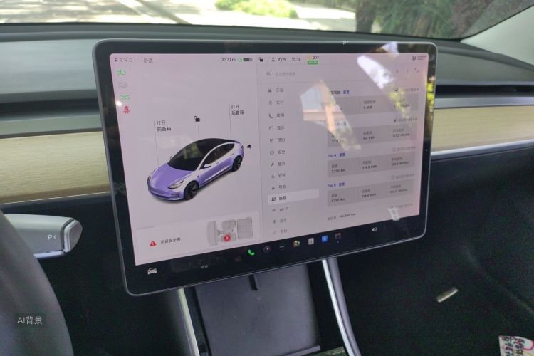 Tesla Model 3 2020 #15 Tesla Model 3 2020 car image #15