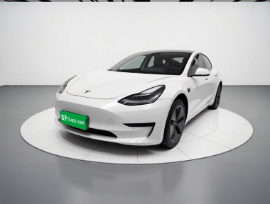 Tesla Model 3 2020 Tesla Model 3 2020 car image
