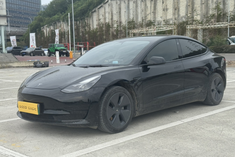 Tesla Model 3 2021 #7 Tesla Model 3 2021 car image #7