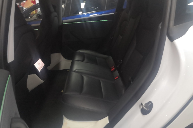 Tesla Model 3 2024 car image #10