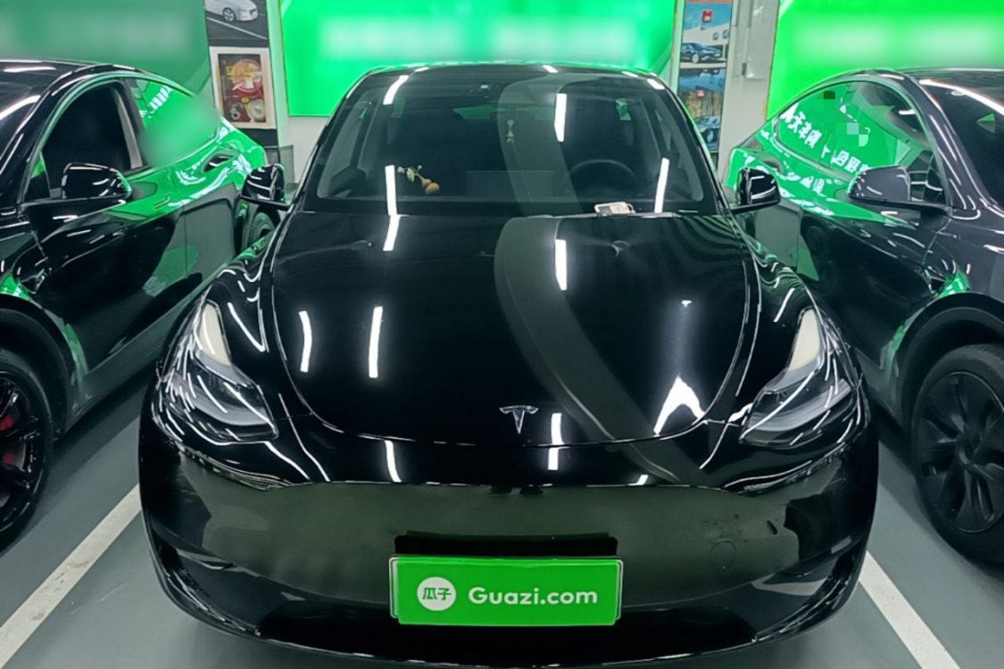 Tesla Model Y 2024 car image #3