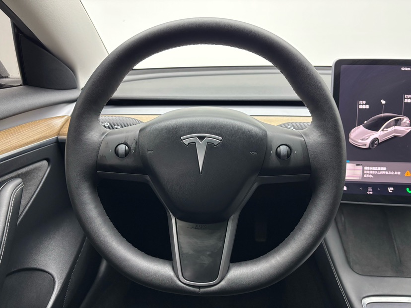Tesla Model 3 2021 #6 Tesla Model 3 2021 изображение автомобиля #6