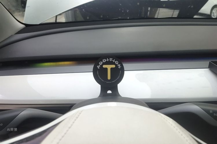 Tesla Model 3 2021 car image #13