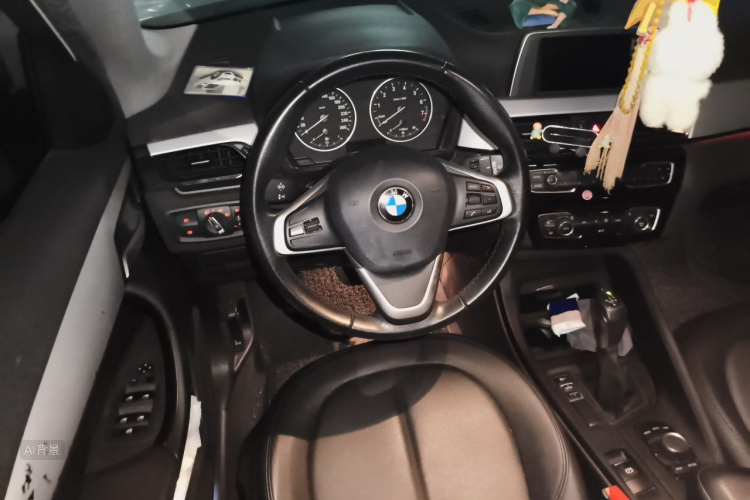 BMW X1 2017 car image #12