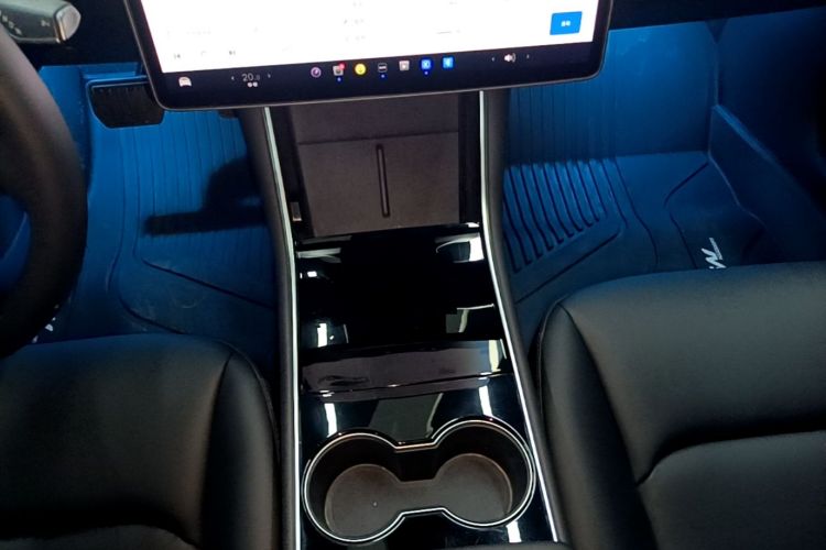 Tesla Model 3 2020 car image #14