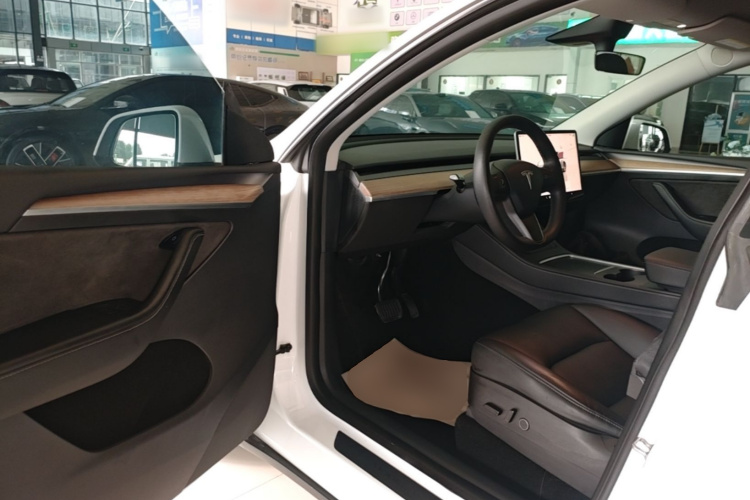 Tesla Model Y 2022 car image #12