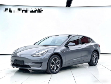 Tesla Model 3 2021 Tesla Model 3 2021 immagine di auto