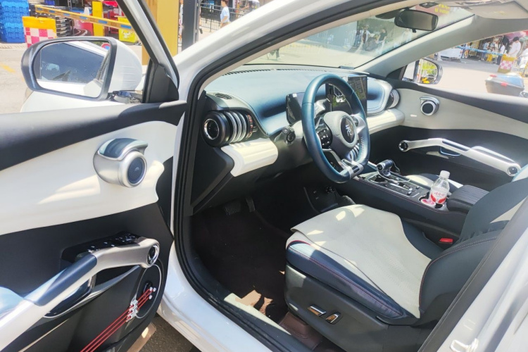 BYD Yuan Plus 2023 car image #9