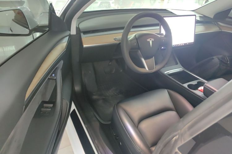 Tesla Model 3 2021 car image #12