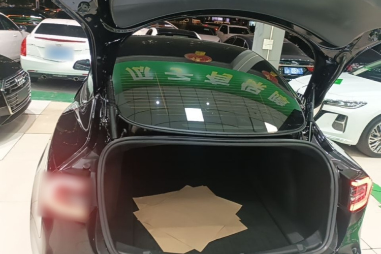 Tesla Model 3 2021 #19 Tesla Model 3 2021 image de voiture #19