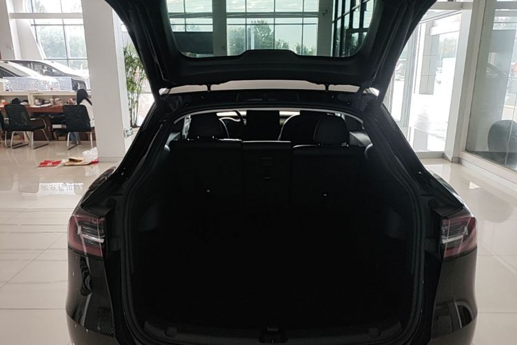 Tesla Model Y 2023 #19 Tesla Model Y 2023 car image #19
