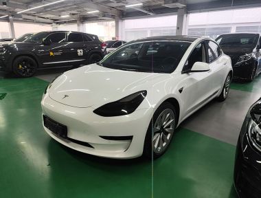 Tesla Model 3 2022 car image 