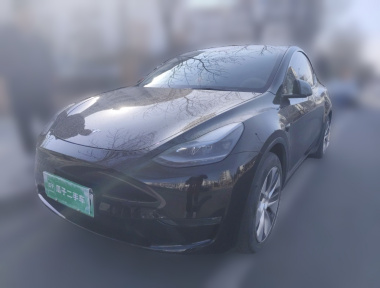 Tesla Model Y 2021 Tesla Model Y 2021 car image