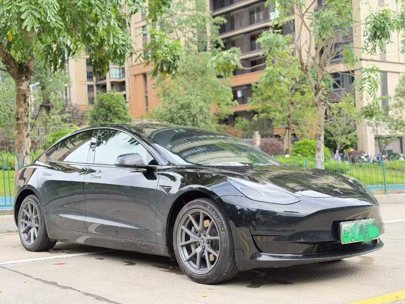 Tesla Model 3 2023 #3 Tesla Model 3 2023 car image #3