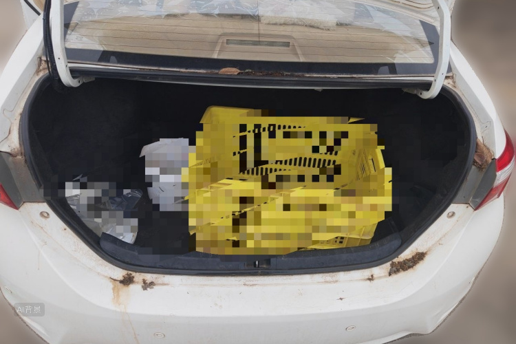2016 #21 2016 imagem de carro #21