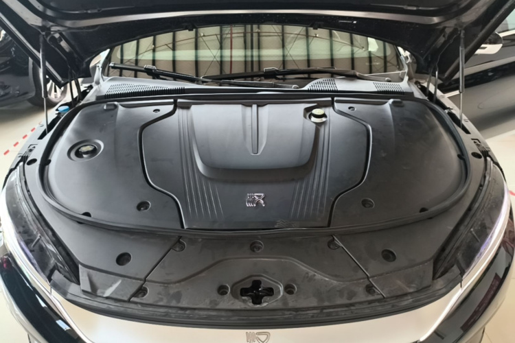 BYD Han 2024 car image #20
