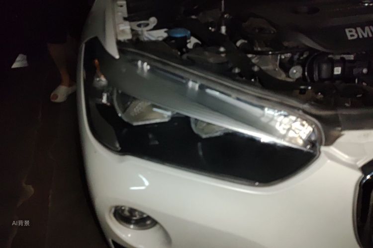 BMW X1 2017 car image #8