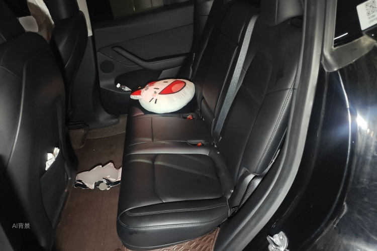 Tesla Model Y 2022 #19 Tesla Model Y 2022 car image #19