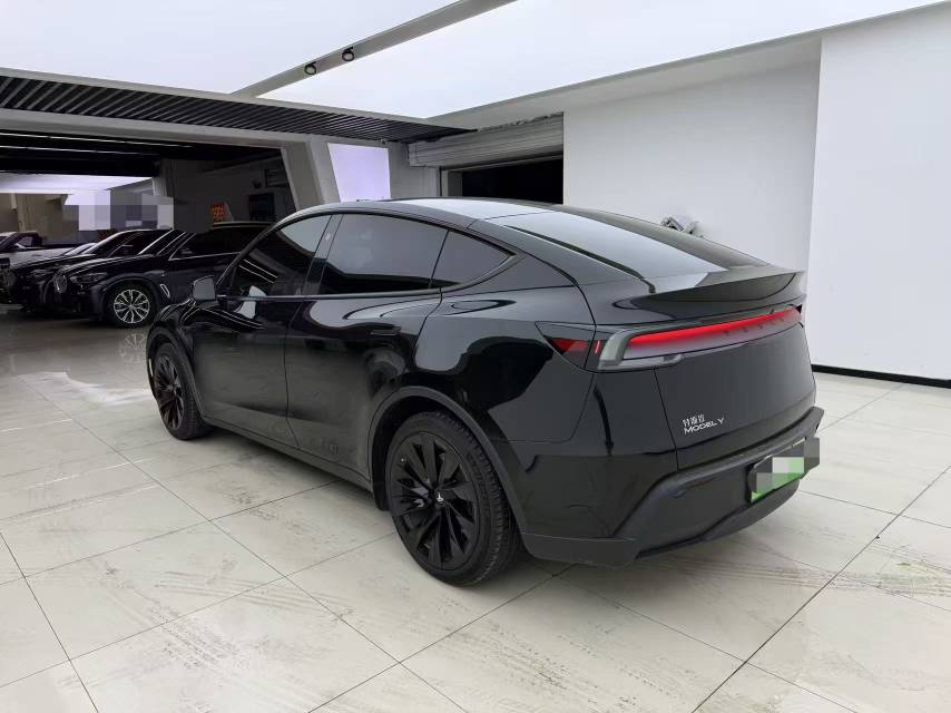 Tesla Model Y 2025 car image #9